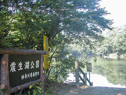 震生湖 震生湖